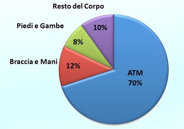 Grafico della distribuzioni delle terminazioni nervoso-sensitivo-motorie