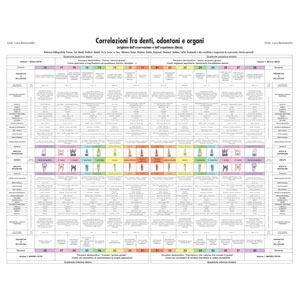 Mappa Denti-Organi e relazioni secondo la dentosofia