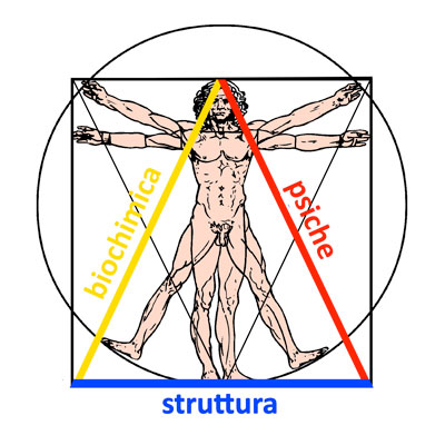 Triangolo della salute